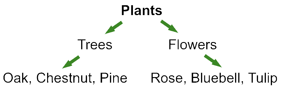 A hierarchy demonstrating the relationship of hyponymy between words related to 'plant'